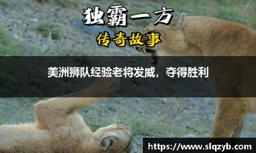 PG电子官网